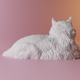 sitting-3.png MAINE COON CAT Sitting 3d print stl