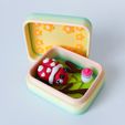 20260122_165508777_iOS-1.jpg Baby Beetles and Box