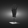 Human-Hand-on-a-stand-render-2.png Human Hand on a Stand