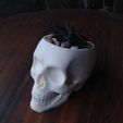 IMG_20220928_105937356.jpg Vampire Skull Planter