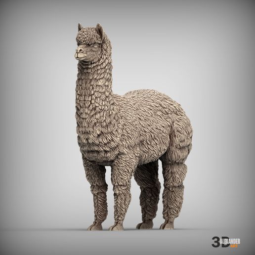 alpaca1.jpg alpaga