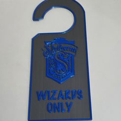 20211023_232516.jpg Download STL file Harry Potter Slytherin House Door Hanging • 3D printing design, MIESPACIO3D