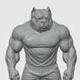 Captura-de-tela-2026-03-05-234115.png Pitbull Torcedor do Futebol BOTAFOGO