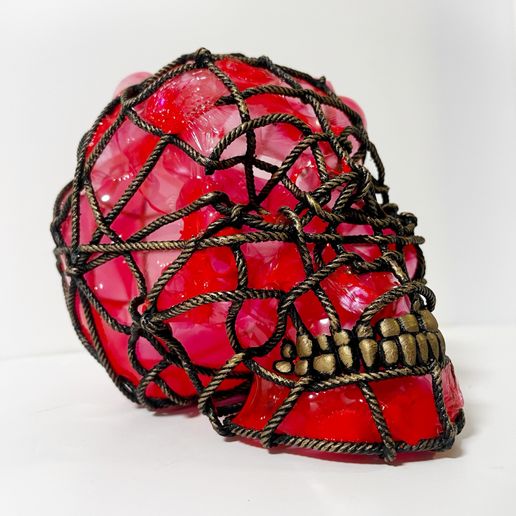 IMG_7433.jpeg Cráneo de cuerdas