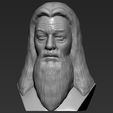 2.jpg Dumbledore from Harry Potter bust 3D printing ready stl obj