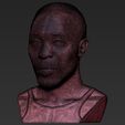25.jpg Omar Little from The Wire bust 3D printing ready stl obj formats