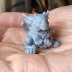 IMG_20200606_150925.jpg STL file Baby Dragon O'elle・3D printable model to download