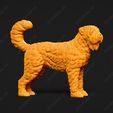 2447-Bouvier_des_Flandres_Pose_03.jpg Bouvier des Flandres Dog 3D Print Model Pose 03