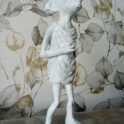 Le rabat-joie de Harry Potter