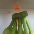 Screen-Shot-2023-08-08-at-9.05.16-PM.png Multipurpose Banana Hanger