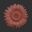 Sunflower1.jpg Sunflower 3d relief .stl file