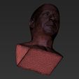 24.jpg Vin Diesel bust ready for full color 3D printing