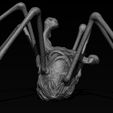 05.jpg 3D PRINTABLE THE THING NORRIS SPIDER HEAD