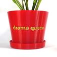 square-thumbnail.jpg "Drama Queen" Plant Pot - With or Without Drainage and Saucer