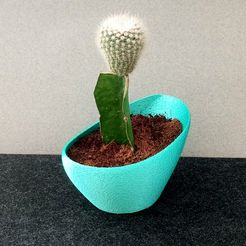 22.jpg Archivo STL MACETA/CACTUS・Objeto para impresora 3D para descargar
