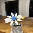 IMG_1093.jpeg Filament Flower - Giftable, Modular Spring Flower Kit