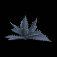Terrain_Plant_Agave_03.png AGAVEPLANTS FOR TERRAIN DIORAMA TABLETOP 1/35