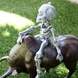 Skeleton_02.jpg Fully Articulated Human Skeleton 3D Print-In-Place STL Model Fidget Toy