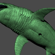 20.png White Shark Statue