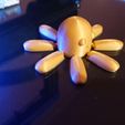 photo_2020-10-26_21-19-12.jpg Articulated Octopus- Happy/Angry Octopus FLEXI PRINT-IN-PLACE