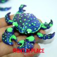 cangrejo1.jpg blue crab printinplace