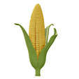 Corn-3.png Espiga de milho realista