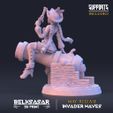 a ES INCLUDED BELKSASAR MAY RELEASE TE UN] ss INVADER WAVES Wondermaker d'alto mare