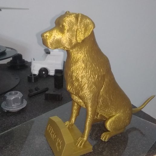 IMG_20211025_161522.jpg Labrador