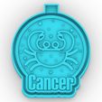 cancer_1.jpg cancer sign - freshie mold - silicone mold box