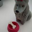 20211102_095020.jpg Barbie 1:6 scale- pet bowl and dog bone -doll stuff