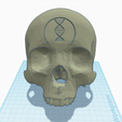 IWHBYD-TinkerCad.PNG Halo IWHBYD (I Would Have Been Your Daddy) Skull