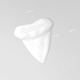 p1.png Megalodon Tooth - Jurassic Fossile Real Size