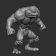 2.jpg Battle Toads Rash