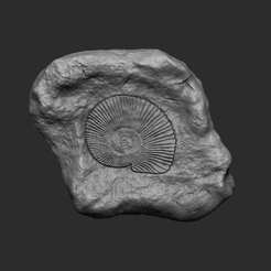 00main.png Ammonite Mineral Fossile - Realistic Printable and Keychain