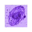 NGC 3583.stl NGC 3583 GALAXY 3D SOFTWARE ANALYSIS