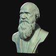 12.jpg Charles Darwin portrait sculpture 3D print model