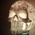 Spook5.jpg Spook Skull 3D Scan (Hollow)
