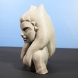 DSCN4309_fix.jpg Busto de Ahsoka Tano