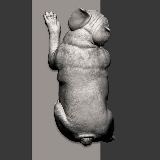 French-Bulldog7.jpg Archivo 3D Modelo de impresión en 3D de un Bulldog Francés・Objeto imprimible en 3D para descargar, akuzmenko