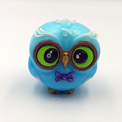 IMG_20230416_071205.jpg Cute cartoon owl son with big eyes