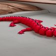1.jpg Articulated Dragon Toy