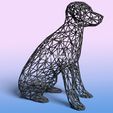 labrador-7.jpg Wired Labrador - 3D Wire Art
