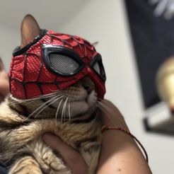 SPIDER CAT PETER PARKER - Mask