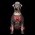 ZGrab02.jpg DOGPOOL