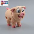 01.jpg Flexi Pig