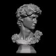 1.jpg BUSTO ROSAS  DAVID (de Miguel Ángel)