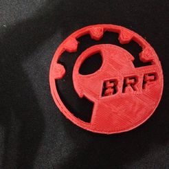 IMG_6396.JPG BRP Logo