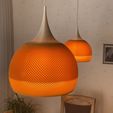 IMG_6369.jpeg HANGING LAMP CHECK