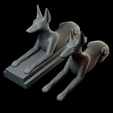 AnubisDog13.png Anubis dog