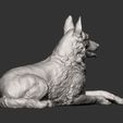 German-Shepherd9.jpg German Shepherd 3D print model